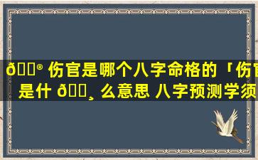 💮 伤官是哪个八字命格的「伤官是什 🕸 么意思 八字预测学须知」